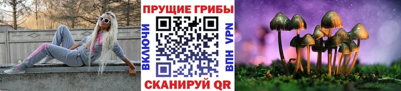 Галлюциногенные грибы ЛСД  мориарти официальный сайт  Апрелевка  гидра зеркало 