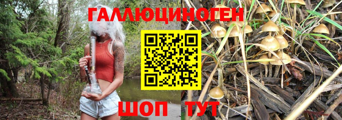 Галлюциногенные грибы мицелий  Апрелевка 