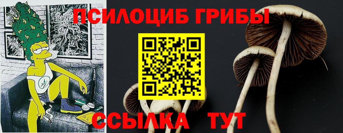 Галлюциногенные грибы Psilocybe  Вход с VPN  цена наркотик  Апрелевка 