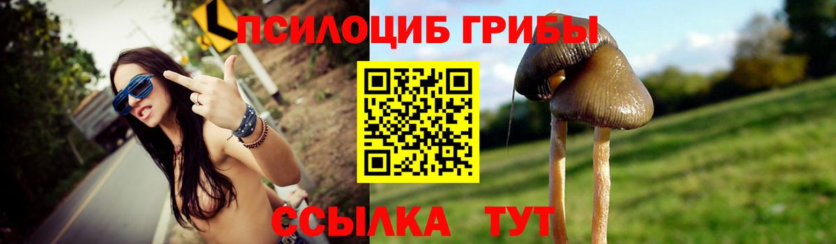 Галлюциногенные грибы Magic Shrooms Апрелевка